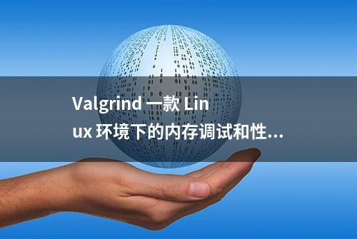 Valgrind 一款 Linux 环境下的内存调试和性能分析工具