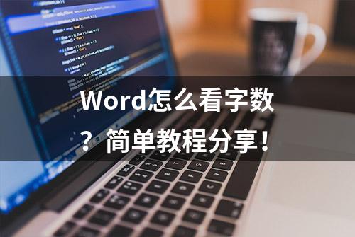 Word怎么看字数？简单教程分享！