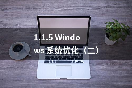 1.1.5 Windows 系统优化（二）