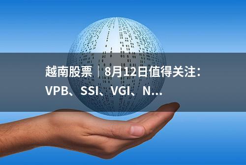 越南股票｜8月12日值得关注：VPB、SSI、VGI、NLG、DGC、DHG、VRE