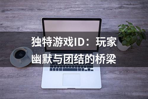 独特游戏ID：玩家幽默与团结的桥梁