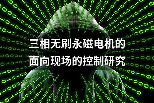 三相无刷永磁电机的面向现场的控制研究