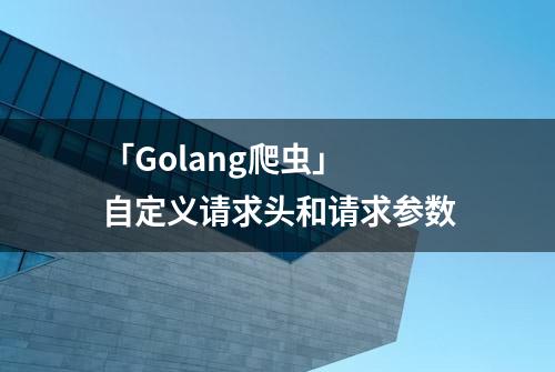 「Golang爬虫」 自定义请求头和请求参数