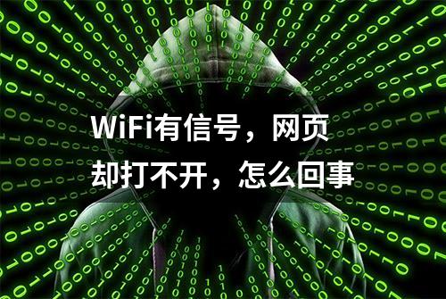 WiFi有信号，网页却打不开，怎么回事