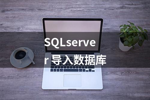 SQLserver 导入数据库