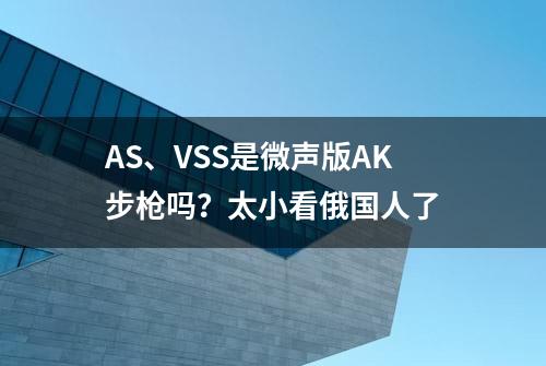 AS、VSS是微声版AK步枪吗？太小看俄国人了