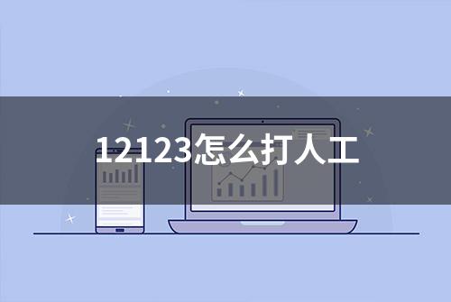 12123怎么打人工