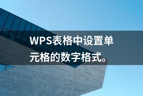 WPS表格中设置单元格的数字格式。