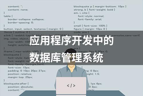 应用程序开发中的数据库管理系统