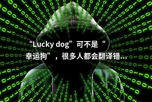 “Lucky dog”可不是“幸运狗”，很多人都会翻译错误