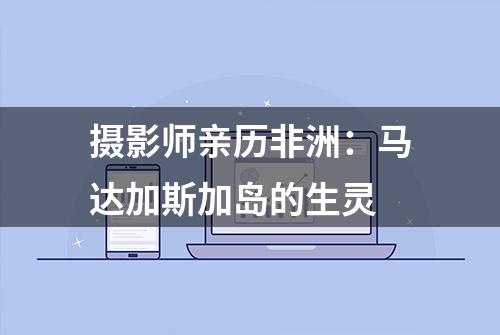 摄影师亲历非洲：马达加斯加岛的生灵