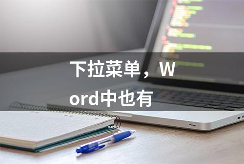 下拉菜单，Word中也有