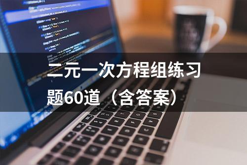 二元一次方程组练习题60道（含答案）