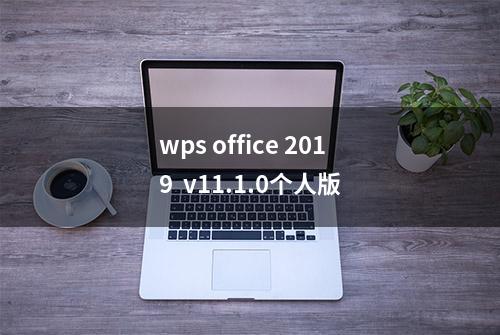 wps office 2019  v11.1.0个人版