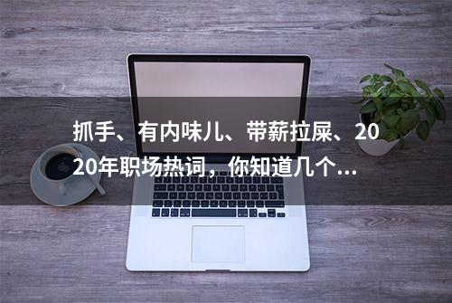 抓手、有内味儿、带薪拉屎、2020年职场热词，你知道几个？