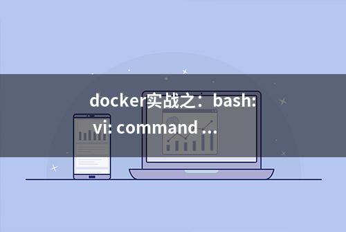 docker实战之：bash: vi: command not found