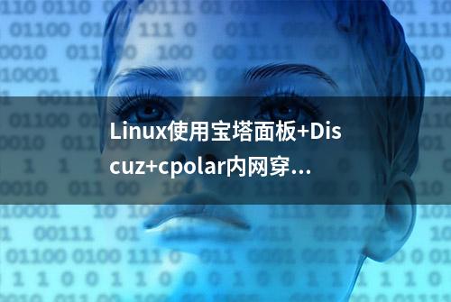 Linux使用宝塔面板+Discuz+cpolar内网穿透工具搭建公网访问论坛