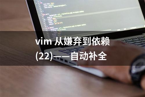 vim 从嫌弃到依赖(22)——自动补全