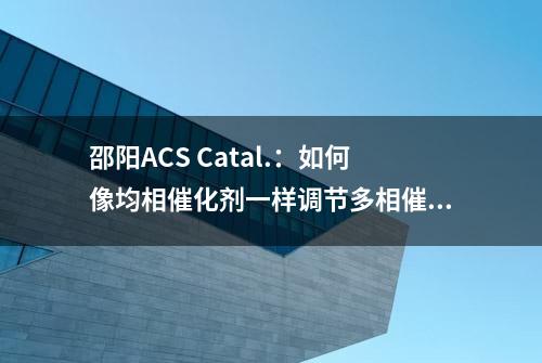 邵阳ACS Catal.：如何像均相催化剂一样调节多相催化剂ORR活性