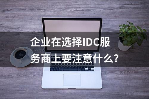 企业在选择IDC服务商上要注意什么？