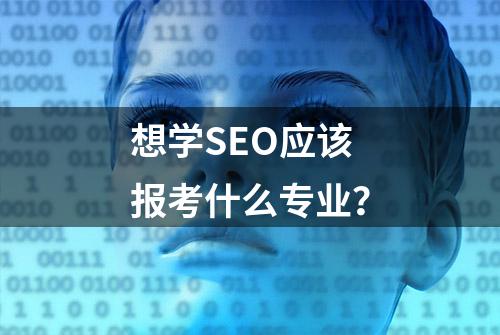 想学SEO应该报考什么专业？