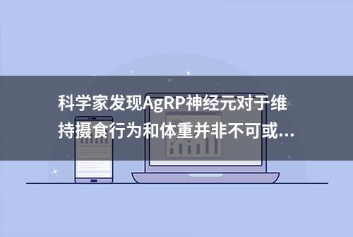 科学家发现AgRP神经元对于维持摄食行为和体重并非不可或缺