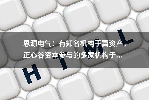 思源电气：有知名机构于翼资产，正心谷资本参与的多家机构于5月31日调研我司