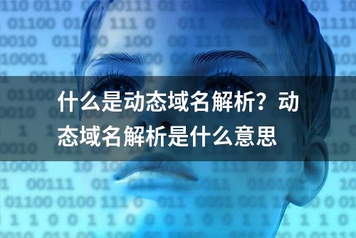 什么是动态域名解析？动态域名解析是什么意思