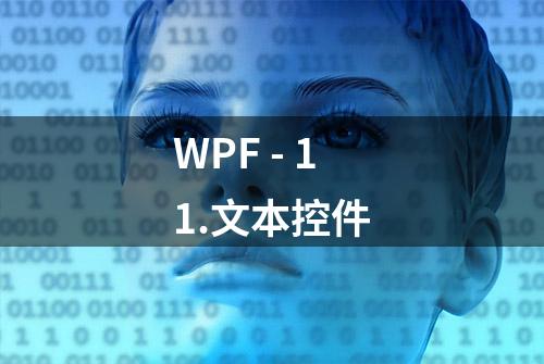 WPF - 11.文本控件