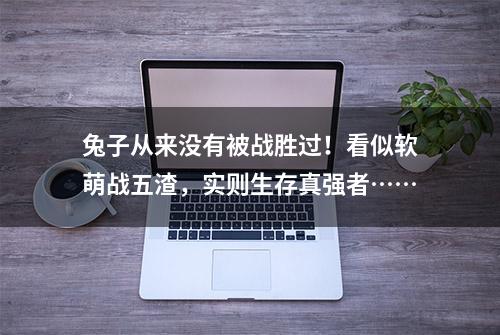 兔子从来没有被战胜过！看似软萌战五渣，实则生存真强者……