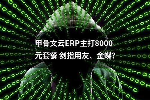 甲骨文云ERP主打8000元套餐 剑指用友、金蝶？