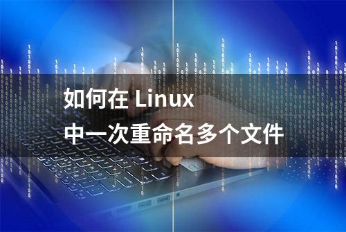 如何在 Linux 中一次重命名多个文件