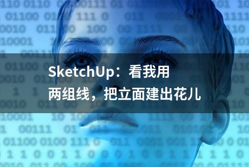 SketchUp：看我用两组线，把立面建出花儿