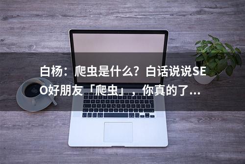 白杨：爬虫是什么？白话说说SEO好朋友「爬虫」，你真的了解吗？