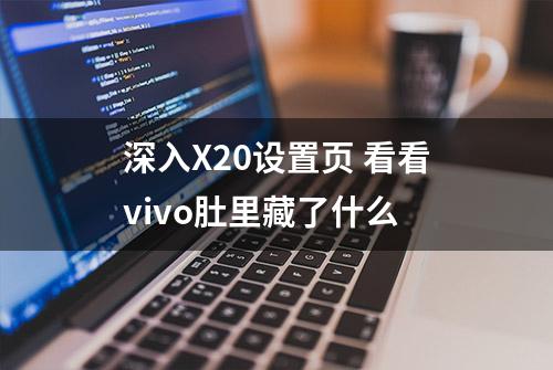 深入X20设置页 看看vivo肚里藏了什么