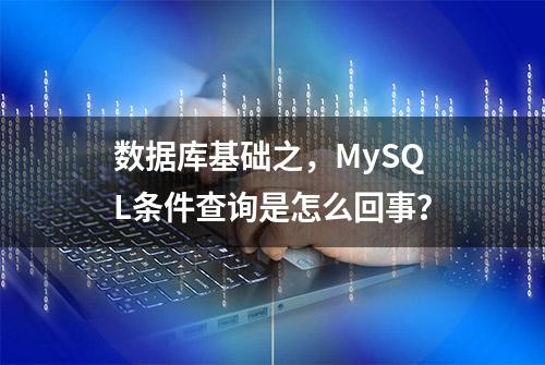 数据库基础之，MySQL条件查询是怎么回事？