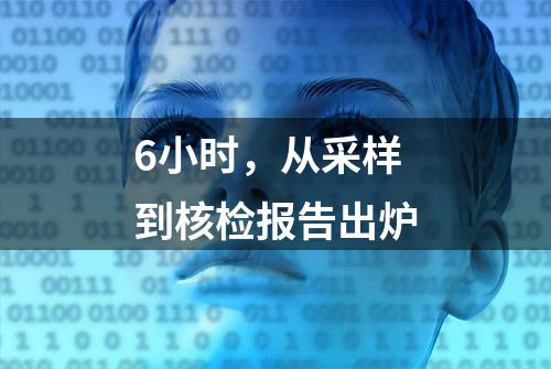 6小时，从采样到核检报告出炉