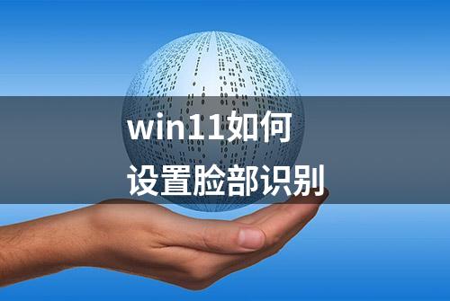 win11如何设置脸部识别