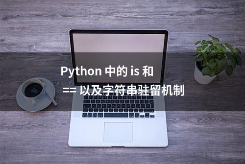 Python 中的 is 和 == 以及字符串驻留机制