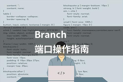 Branch端口操作指南