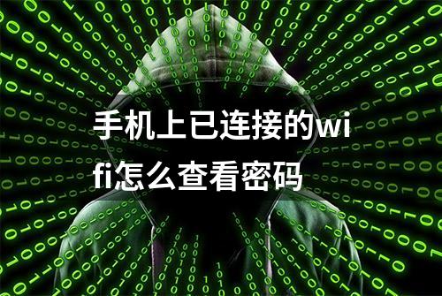 手机上已连接的wifi怎么查看密码