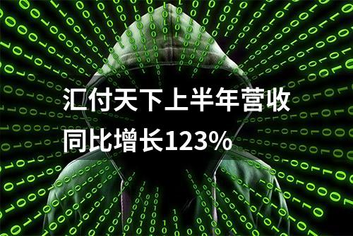 汇付天下上半年营收同比增长123%