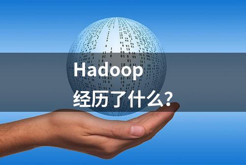 Hadoop经历了什么？