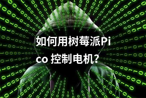 如何用树莓派Pico 控制电机？