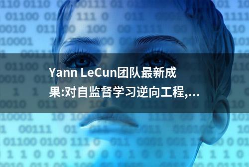 Yann LeCun团队最新成果:对自监督学习逆向工程,聚类是这样实现的