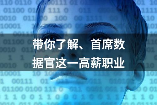 带你了解、首席数据官这一高薪职业