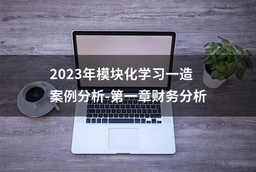 2023年模块化学习一造案例分析-第一章财务分析