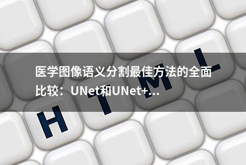 医学图像语义分割最佳方法的全面比较：UNet和UNet++