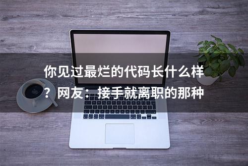 你见过最烂的代码长什么样？网友：接手就离职的那种