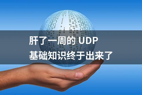 肝了一周的 UDP 基础知识终于出来了